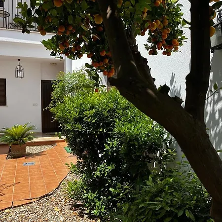 Acogedor Junto A Plaza De San Agustin Apartment Cordoba