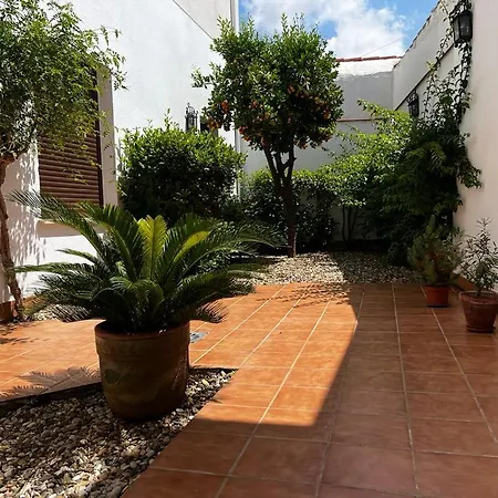 Apartment Acogedor Junto A Plaza De San Agustin